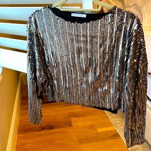 Zara sequin blouse